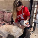 Available For a Pet Supervisor Opportunity in South San Francisco