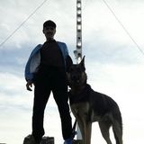Well Trained Pet Care Provider for Your Home