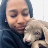 Seeking Jersey City House and Petsitter, New Jersey Jobs