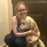 Law student looking for occasional babysitting or petsitting opportunities