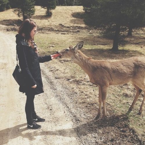 Canadian Nanny Provider Kelsey F's Profile Picture
