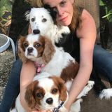 For Hire: Polite Dog Sitting Professional 25+ YEARS in Boca Raton, Delray, Area, Florida