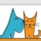 FEED. PLAY. LOVE. Professional Pet Sitter Available