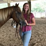 College Student looking for Pet Sitting Jobs