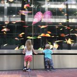 Lower Mount Royal Family Seeking FT/LT Nanny for 2 Kids
