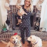 Interviewing For Annapolis Animal Lover, Maryland Jobs
