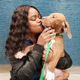 Searching for Brooklyn Pet Sitter Opportunity, I have years of experience with animals, Medical, Grooming.