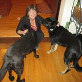 Mature, trustworthy woman with flexible PT job, who will love and care for your pets for you while you are away!