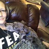 Seeking a Animal Caregiver Opportunity in Amarillo