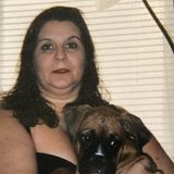 I love all animals I just lost my 10 year old boxer 1 months ago I have a whole lot of love to giSkilled Petsitter for Hire