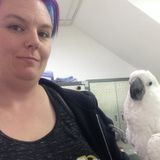 Pet Care Offered in Calgary, rates verify on species