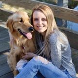 Amazing Pet sitter Available