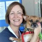 Palm Coast, Florida Petsitter