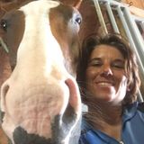 Retired Military Available for House Sitting