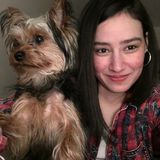 Petsitter in Yonkers ?