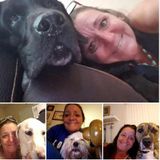 I'm your dogs best friend! Next to you of course. Love kitty cats too.