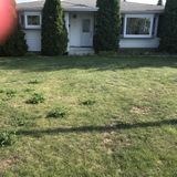Need a gardener to take care of our yard! We are actually fantastic in the garden but due to illnesses we cant keep up.
