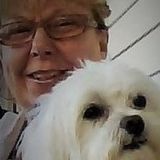 I have always loved and cared for creatues. I am retired and bondable. I have a lot of experience with pets and wild animals.