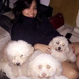 Round Rock Pet Sitter Available For Being Hired in Austin Tx and in round rock Tx also avaible to whats near .