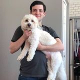 Hire a pal for your pets!