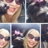 Skillful Pet Sitter for Your Home