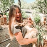 Dog-Walking and Pet-Sitting you can trust. :)