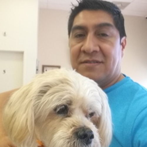 Pet Care Job Jerry J's Profile Picture