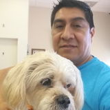 Looking for a reliable Pet sitter