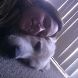 Qualified Dog walker in Canton, Michigan