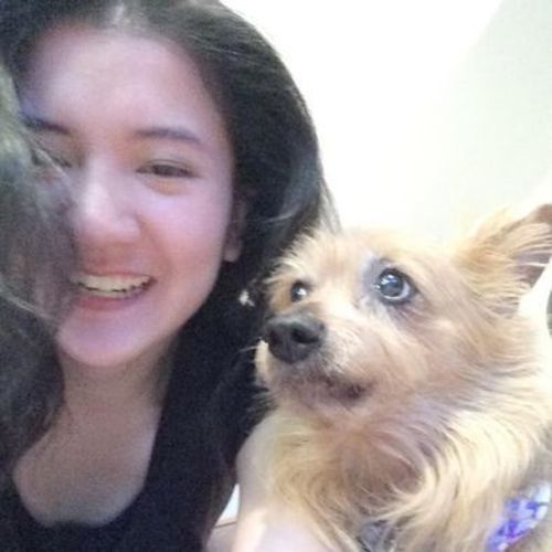 Child Care Provider Thao Ly B's Profile Picture
