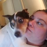 For Hire: Reliable Pet Sitter in Springfield