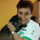 Available For Somerville Pet Sitting Professional Opportunity