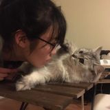 Loving Caregiver For Furry And Non Furry Friends 3