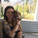 Fun and friendly dog walker and hiker in Huntington Station
