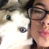 Im Delilah batts im open to pet sit and dog walk Im really good with animals Ive pet setting plenty of times