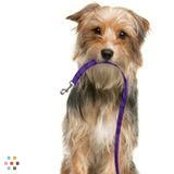 Happy Tails Pet Sitting & Dog Walking Services LEE'S SUMMIT AREA