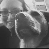 Dog walker available in Lutz, Florida!