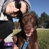 Disciplined Pet Care Provider in Lakewood