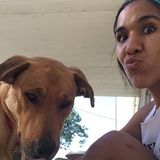 Fun and Loving Pet Sitter!