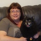 Dog sitting/cat sitting/training