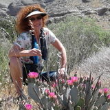 Searching for Highland House Sitter, California Jobs