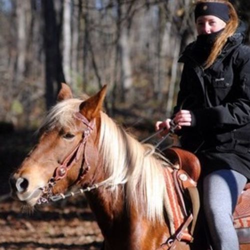 Pet Care Provider Sophia J's Profile Picture
