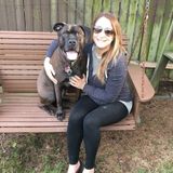 Voted Best of Essex in Pet Sitting Services!