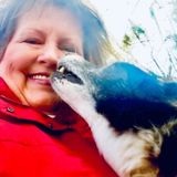 Interviewing For a Dog Sitting/Cat Sitting Professional Job in Greater NJ/NY/PHI Area