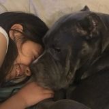 Interviewing For a Petsitter Opportunity in Modesto