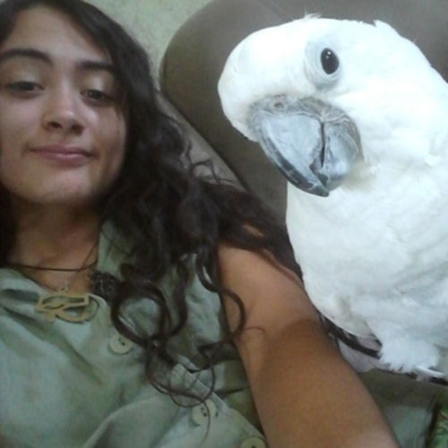 Pet Care Provider Samantha P's Profile Picture