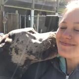 For Hire: Honest Pet Care Provider in Kennesaw, Georgia