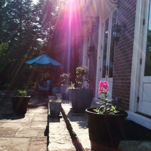 Housekeeper Job Anne-Margaret W's Profile Picture
