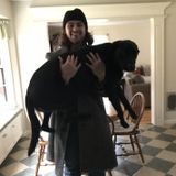 Dog companion for hire
