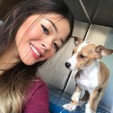 Sugar Land, Texas Pet Sitter. Energetic + Extra love and care!